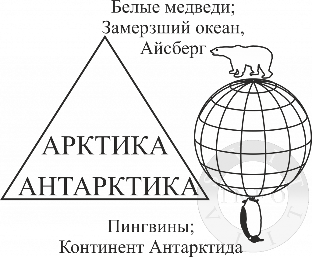 Арктика и Антарктика